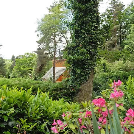 Chalet Du Foret